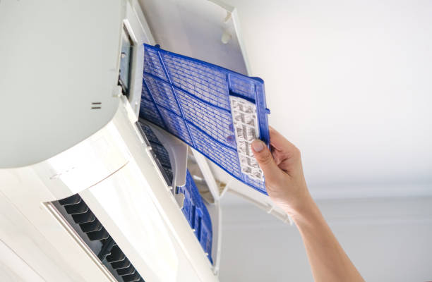 Best Air Duct Sanitizing Services  in Desloge, MO